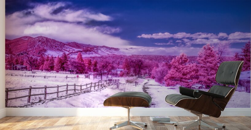 Chautauqua Chronicles: Pink Path Wall Murals