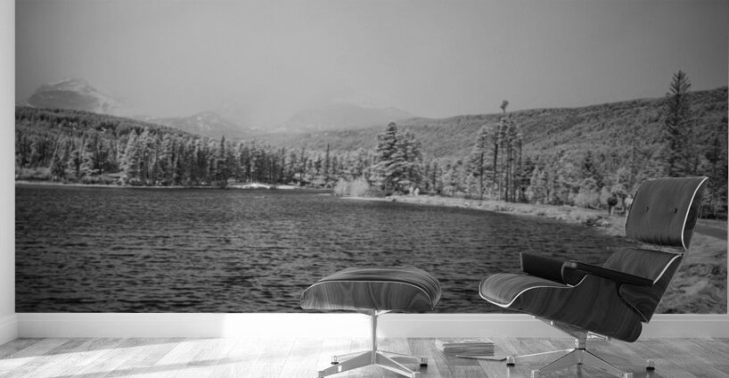 Shoreline Vista: Sprague Lake Wall Murals