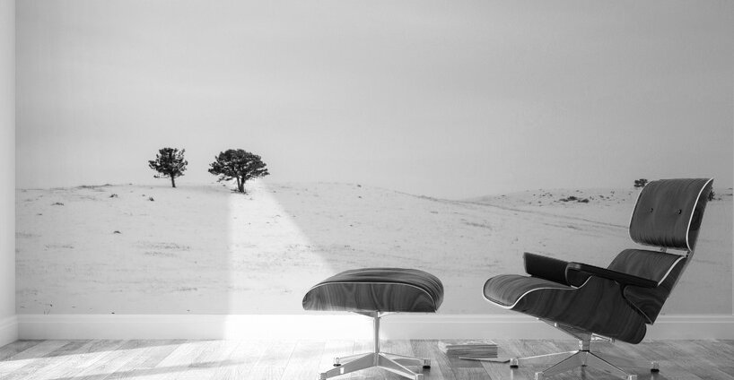 Winters Elegance: A High Key at Flatirons Trailhead Wall Murals