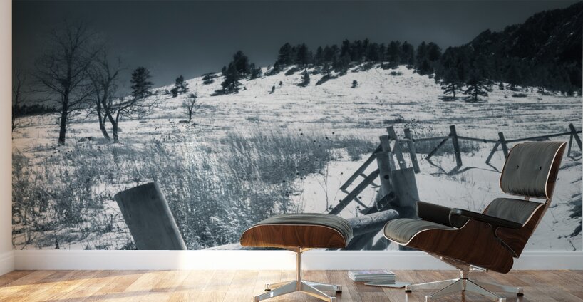 Chautauqua Chronicles: Fence in Winter Wall Murals