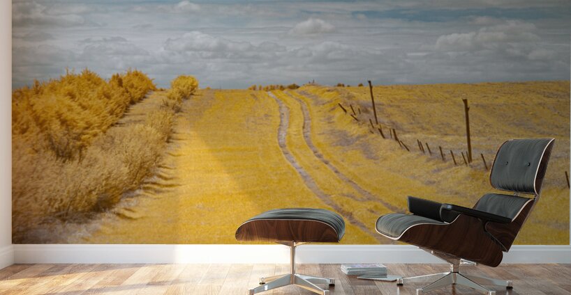 Nebraska Farm Lane - 3 Wall Murals