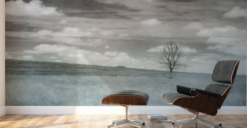 Nebraska Lone Tree - 2 Wall Murals