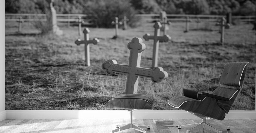 Echoes of Giovannis Rest Wall Murals