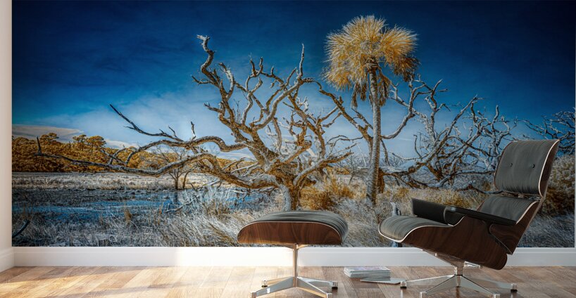 Isolated Serenity: Rows End Wall Murals