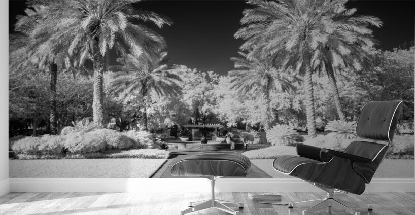 Monochrome Serenity: Palm Tree Harmony in Saint Marys Georgia Park Wall Murals