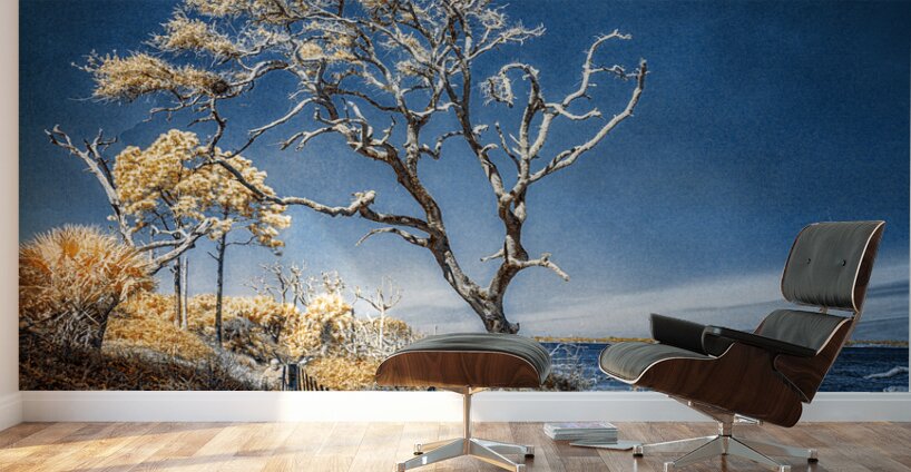 Blue Bonsai: A Botanical Marvel Unveiled on Driftwood Beach Wall Murals