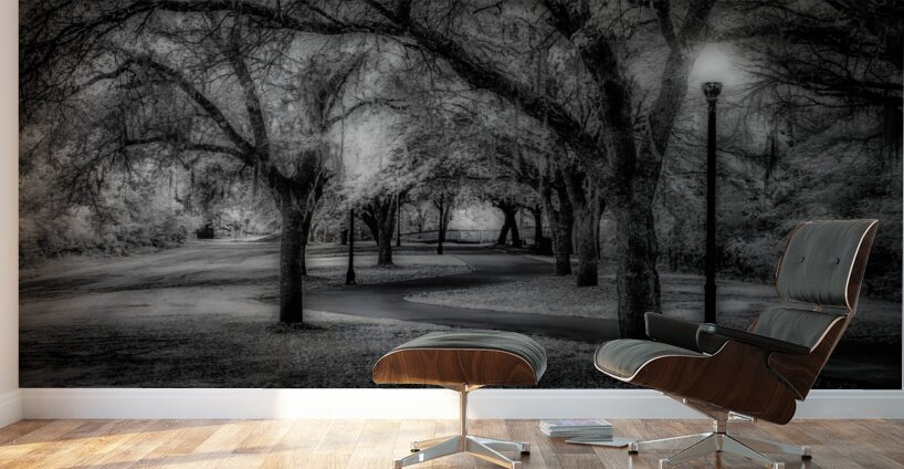Curvy Dusk Walkway Wall Murals