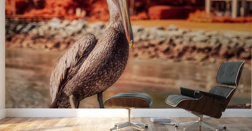 Pier Perch: A Quest for the Majestic Pelican at Saint Simons Island Georgia Wall Murals