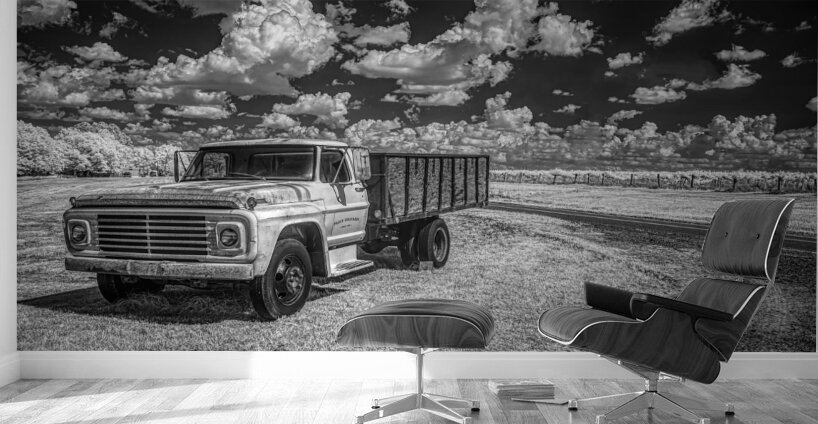 Vineyard Harmony: A Southern Georgia Winery Adventure Wall Murals