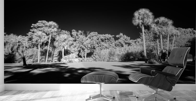 Lighted Center Wall Murals