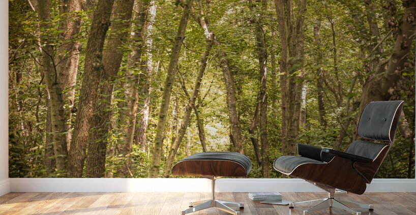 Pathway to Woodland Dreams Wall Murals