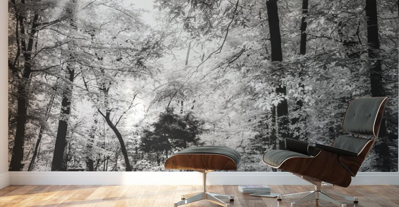 Roasted Road Wall Murals