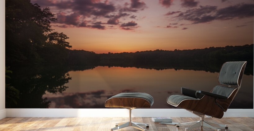 Killens Pink Sunset Wall Murals