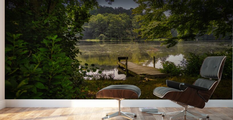 Whispers at Waters Edge Wall Murals