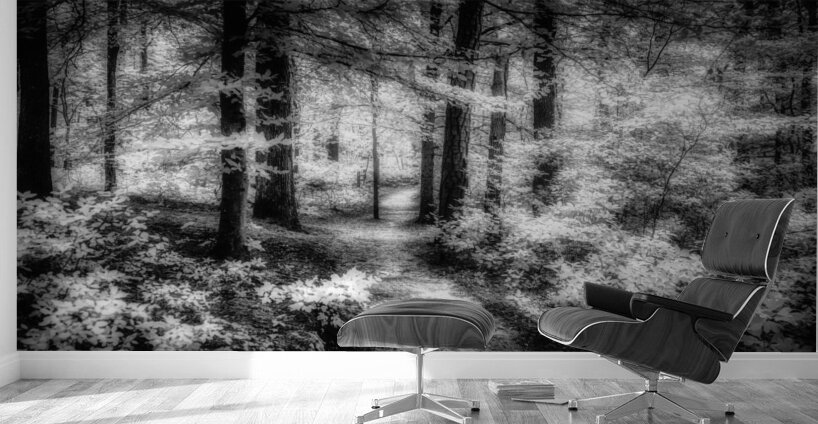 Killens Path: Serene Infrared Passage Wall Murals