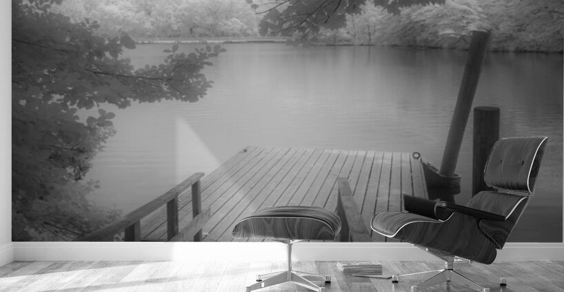 Stillness Captured: Abbotts Pond Wall Murals