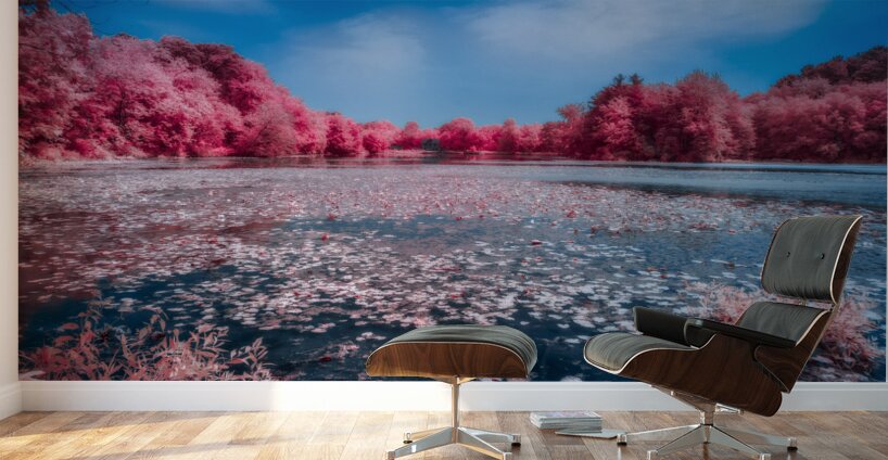 Ruby Pond Wall Murals
