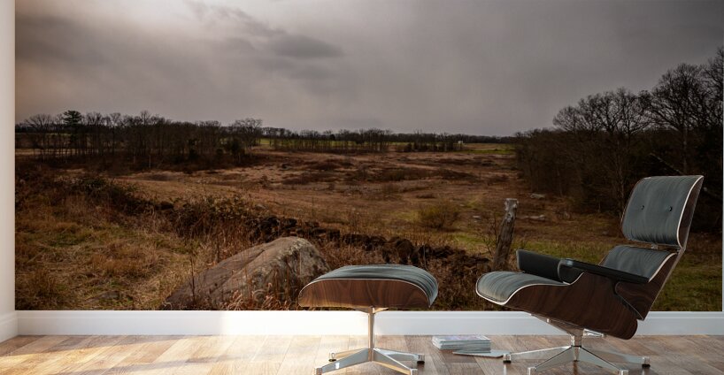 Triangular Fields Path Wall Murals