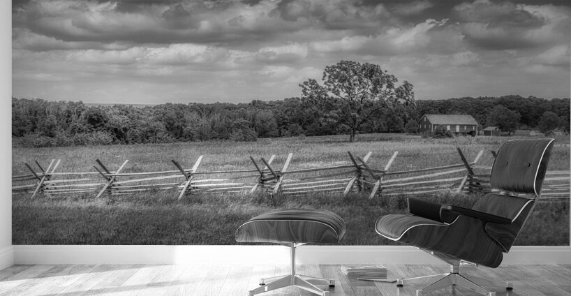 Solitude Unveiled: Whispers of the Countryside Wall Murals