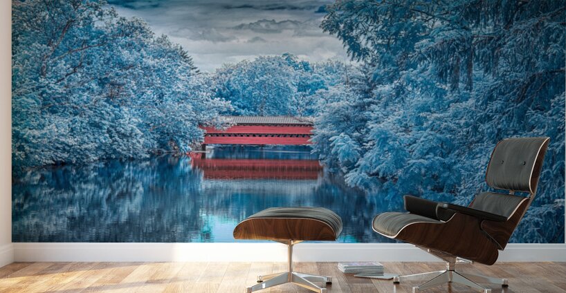 Sachs Bridge: Reflective Tranquility in Infrared Wall Murals