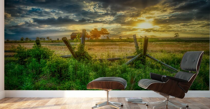 Fenceline sunset Wall Murals