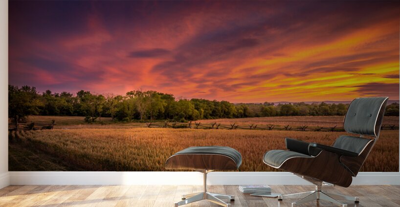 Sunset along a fence Wall Murals