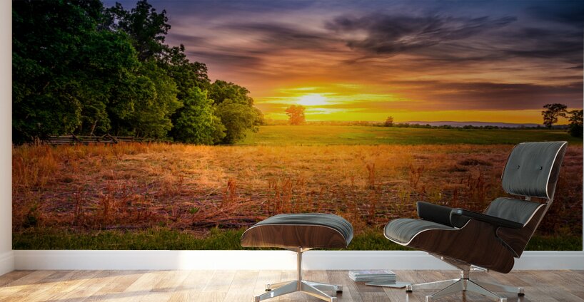 Herps woods Sunset Wall Murals