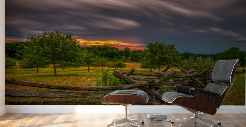 Peach Orchard Storm Wall Murals