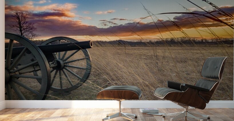 Twilight of War Wall Murals