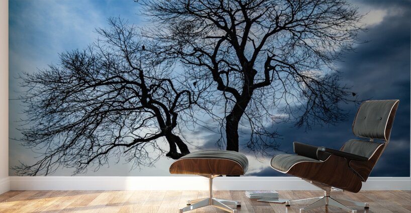 Winters Last Light Wall Murals