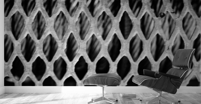 Monochrome Marine Mysteries: Up Close & Personal Wall Murals