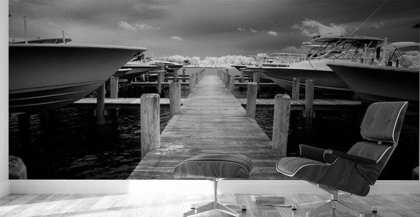 Natuical Patience Wall Murals