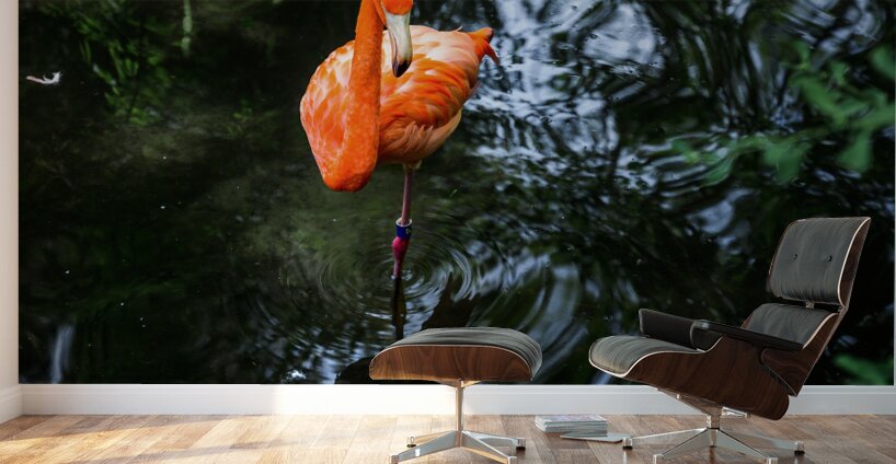 Feathered Wonders: Exploring Homosassa State Park Wall Murals