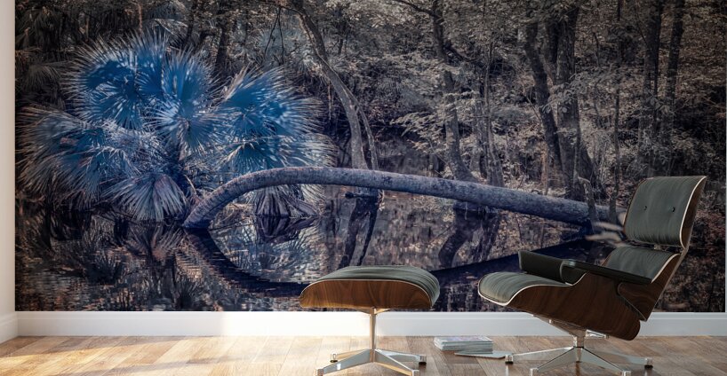 Natures Infinity Wall Murals