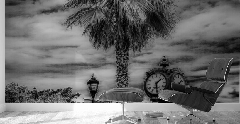 IR Time Wall Murals