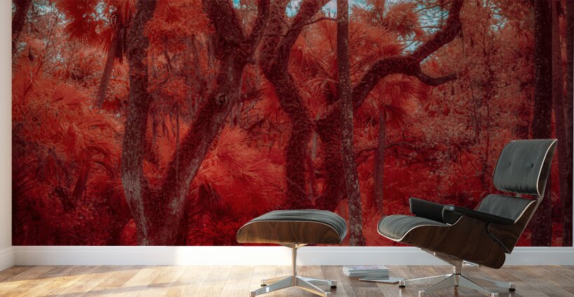 Enchanted Southern Grove: Bulow in Infrared Wall Murals