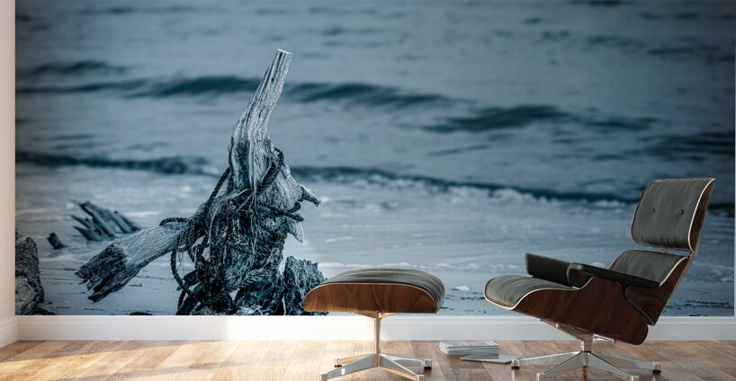Oceans Driftwood Sentinel Wall Murals