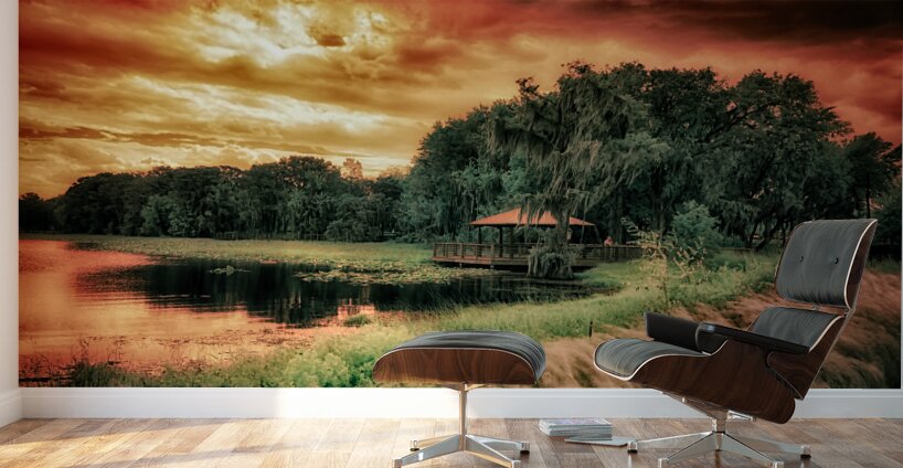 Inverness Rage Wall Murals