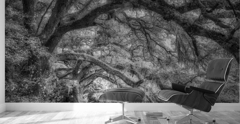 Whispers in the Grove Wall Murals