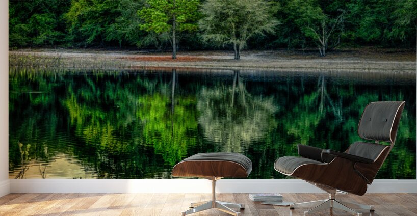 Florida Dreamscapes: Indian Lake State Forest Wall Murals
