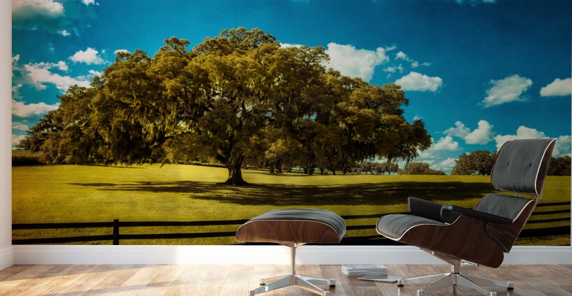 Majestic Oak: Exploring Ocalas Enchanting Back Roads Wall Murals