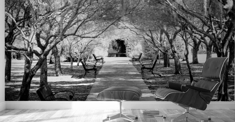 Olive Promenade Wall Murals