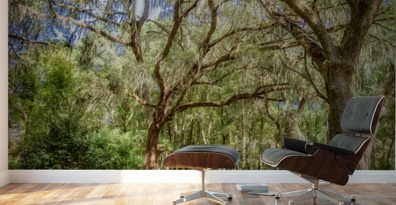 Peaceful Garden Wall Murals