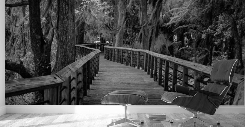 Mystic Passage Wall Murals