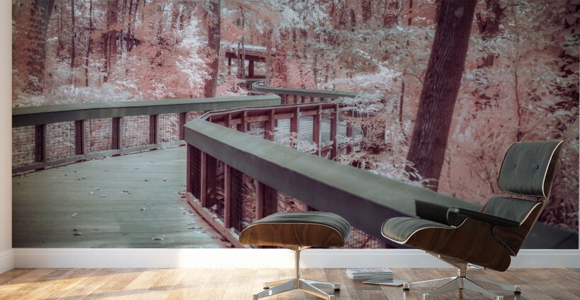 Winding Dreams Boardwalk Wall Murals