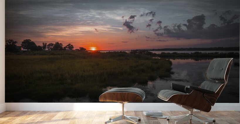 Last Light on Grapevine Cove Wall Murals