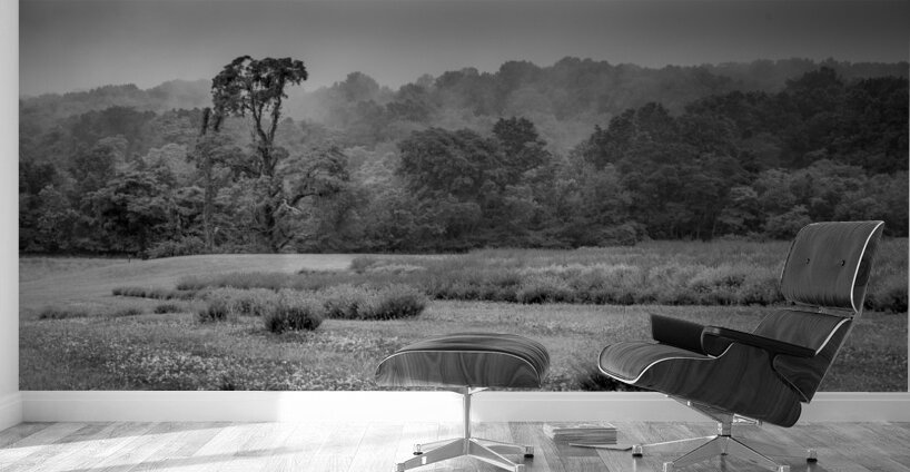 Morning Mist Valley Wall Murals