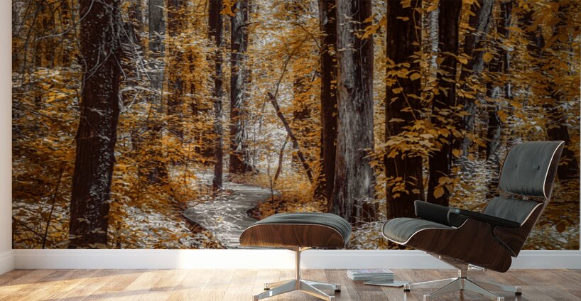 Golden Swamp Walk Wall Murals