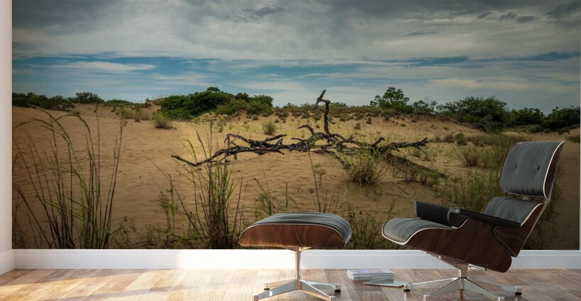 Jockey Ridge - 1 Wall Murals