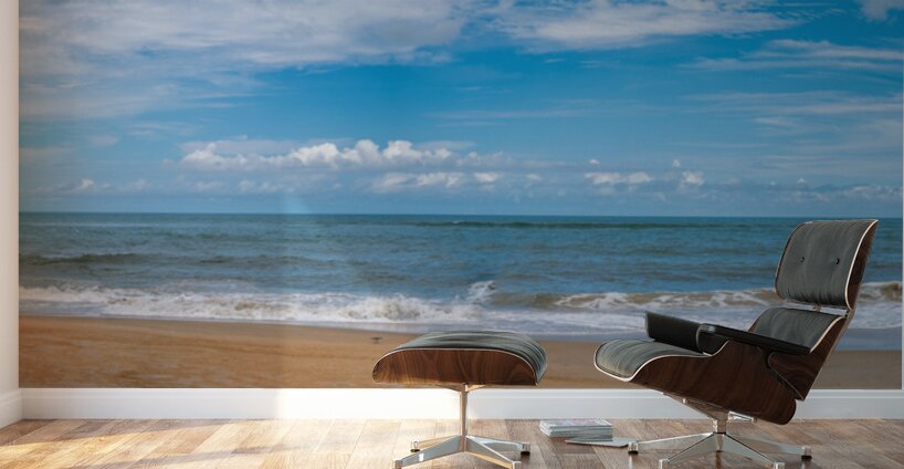 Ocean Pano Wall Murals